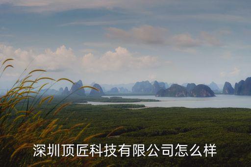 上海頂工智能科技怎么樣，有知道這個上海頂晶電子科技有限公司的嗎做的咋樣的呢