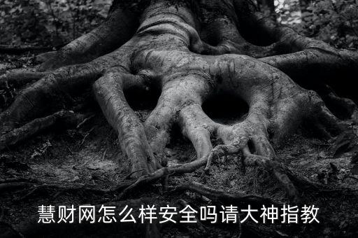 慧財網(wǎng)怎么樣安全嗎請大神指教