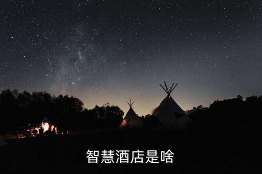 智能酒店高科技產(chǎn)品是什么，什么是智能酒店