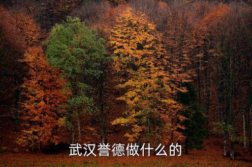武漢譽德做什么的