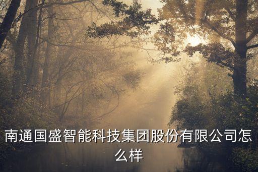 南通國盛智能科技集團股份有限公司怎么樣