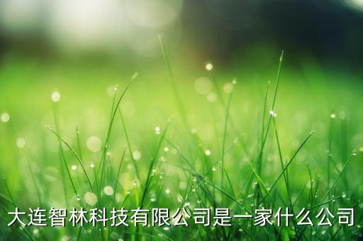 大連智林科技有限公司是一家什么公司