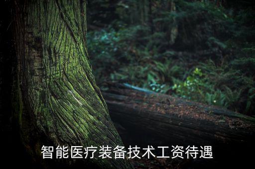匠巖智能科技工資待遇如何，做智能家居的技術(shù)員一般什么工資待遇