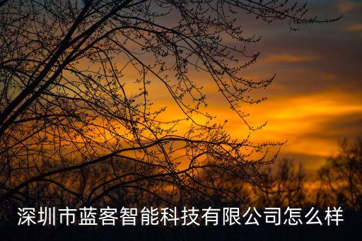 深圳市藍(lán)客智能科技有限公司怎么樣