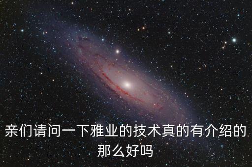 親們請問一下雅業(yè)的技術真的有介紹的那么好嗎