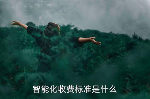 智能化收費(fèi)標(biāo)準(zhǔn)是什么