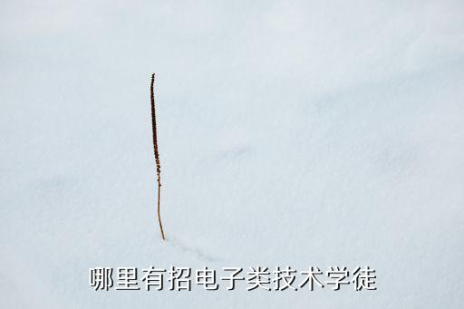 派恩智能科技招聘電話多少，哪里有招電子類技術學徒