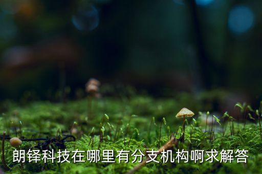 朗鐸科技在哪里有分支機(jī)構(gòu)啊求解答