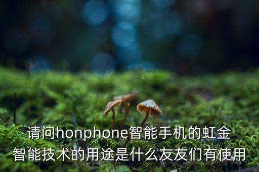 請問honphone智能手機(jī)的虹金智能技術(shù)的用途是什么友友們有使用