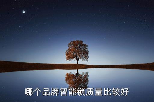 哪個(gè)品牌智能鎖質(zhì)量比較好