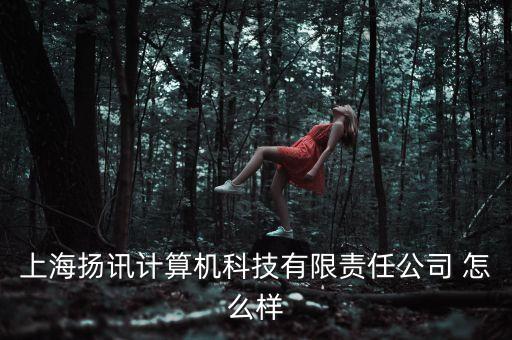 上海揚(yáng)訊計算機(jī)科技有限責(zé)任公司 怎么樣