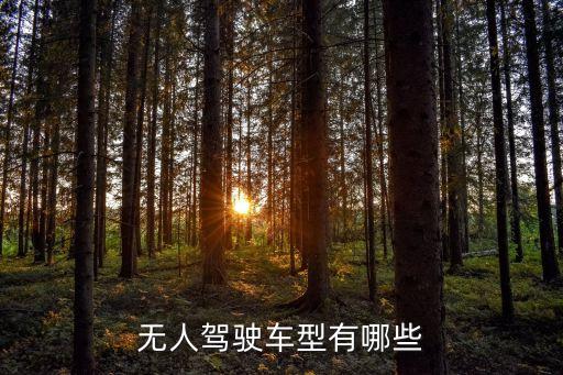 無(wú)人駕駛車型有哪些