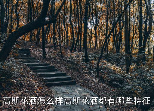 高斯花灑怎么樣高斯花灑都有哪些特征
