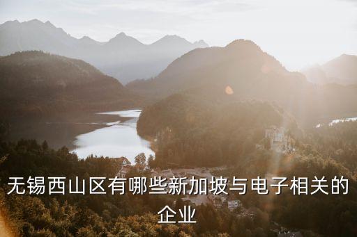 錫山區(qū)電子智能科技有哪些，無錫西山區(qū)有哪些新加坡與電子相關(guān)的企業(yè)