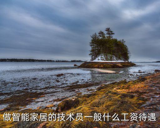 做智能家居的技術(shù)員一般什么工資待遇