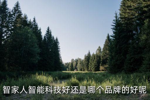 科技與智能哪個(gè)好，智家人智能科技好還是哪個(gè)品牌的好呢