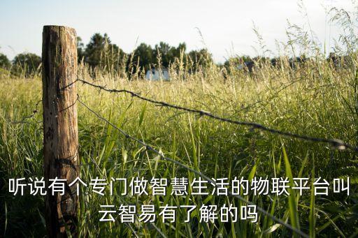 聽說有個專門做智慧生活的物聯(lián)平臺叫云智易有了解的嗎