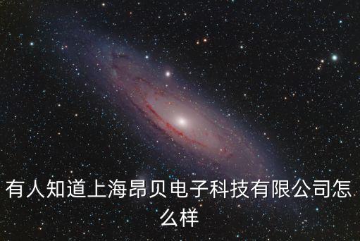 有人知道上海昂貝電子科技有限公司怎么樣