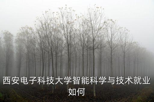 西安電子科技大學(xué)智能科學(xué)與技術(shù)就業(yè)如何