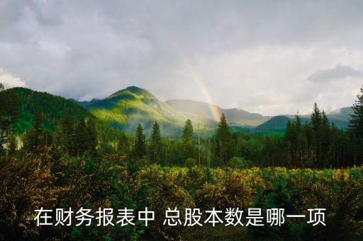 在財(cái)務(wù)報(bào)表中 總股本數(shù)是哪一項(xiàng)