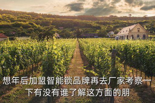 想年后加盟智能鎖品牌再去廠家考察一下有沒有誰了解這方面的朋