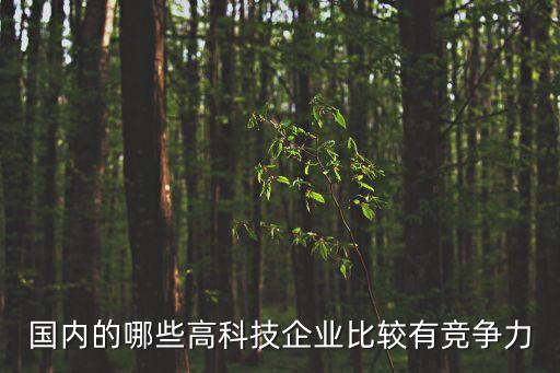 國內(nèi)的哪些高科技企業(yè)比較有競爭力