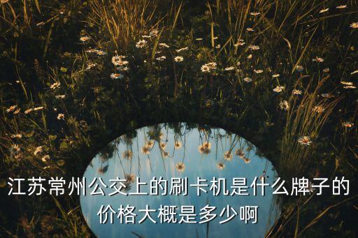 江蘇創(chuàng)新智能科技多少錢，有誰知道江蘇創(chuàng)新踏板125摩托車怎樣價格多少