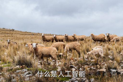 什么是人工智能