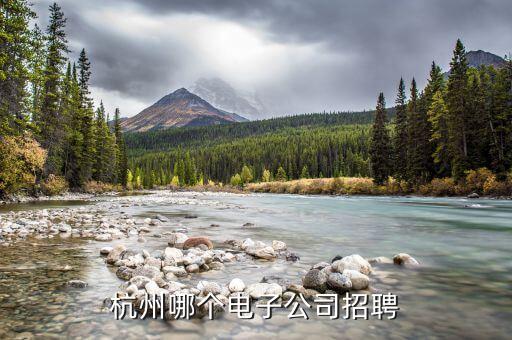 世寰智能科技招聘電話多少，杭州哪個電子公司招聘