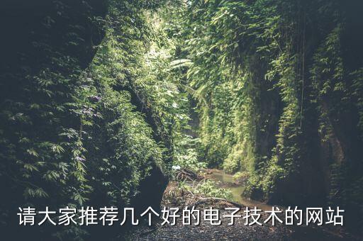 請大家推薦幾個好的電子技術(shù)的網(wǎng)站