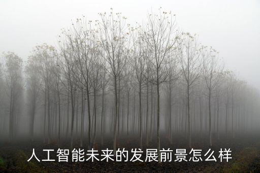 人工智能未來(lái)的發(fā)展前景怎么樣