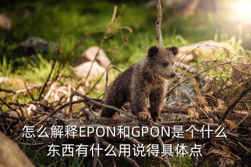 怎么解釋EPON和GPON是個什么東西有什么用說得具體點