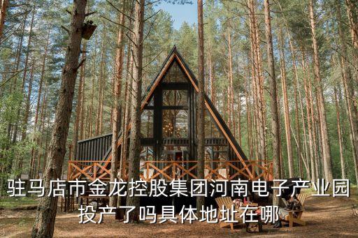 駐馬店市金龍控股集團(tuán)河南電子產(chǎn)業(yè)園投產(chǎn)了嗎具體地址在哪