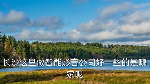 中路智能科技公司怎么樣，長(zhǎng)沙這里做智能影音公司好一些的是哪家呢