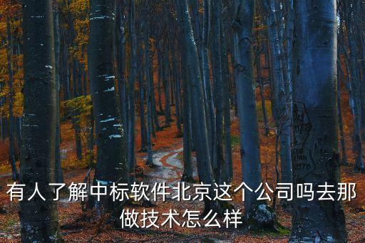 有人了解中標軟件北京這個公司嗎去那做技術(shù)怎么樣