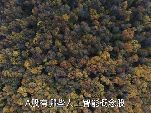 A股有哪些人工智能概念股