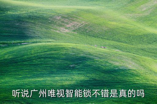聽說廣州唯視智能鎖不錯(cuò)是真的嗎