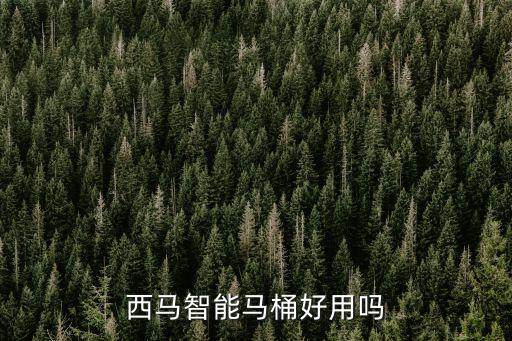西馬智能馬桶好用嗎