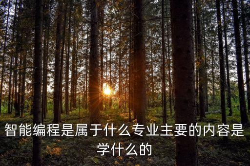 智能編程是屬于什么專業(yè)主要的內(nèi)容是學什么的