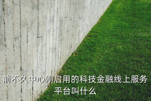 前不久中心剛啟用的科技金融線上服務(wù)平臺叫什么