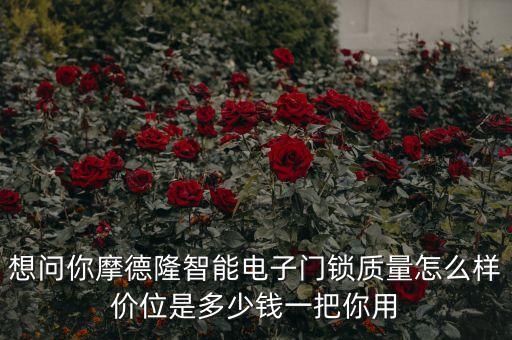 想問你摩德隆智能電子門鎖質(zhì)量怎么樣價位是多少錢一把你用