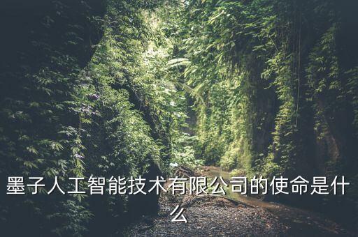 墨子人工智能技術(shù)有限公司的使命是什么