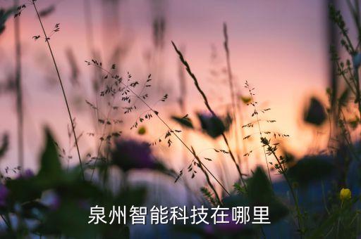泉州智能科技在哪里