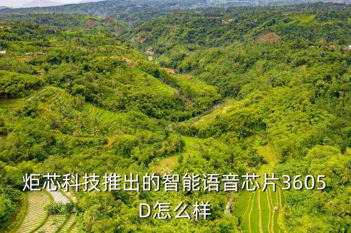 炬暉智能科技怎么樣，智能早教機(jī)器人哪個牌子好聽說搭載炬芯芯片的比較靠譜