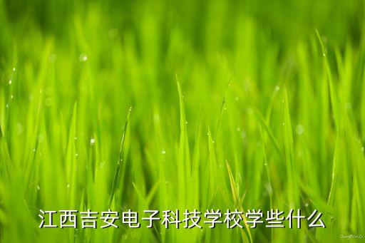 吉安有什么智能科技，江西省吉安市萬(wàn)安中信華工業(yè)區(qū)有沒(méi)有志強(qiáng)電子有限公司