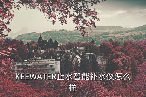 KEEWATER止水智能補(bǔ)水儀怎么樣