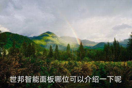 高科技智能面板有哪些，除了外形奢華功能強大還有啥智能的地方那個鮮花開啟式面板是啥高
