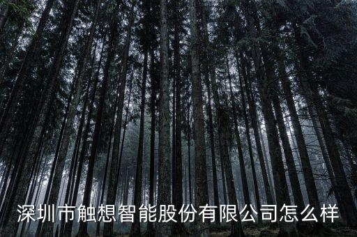 深圳市觸想智能股份有限公司怎么樣