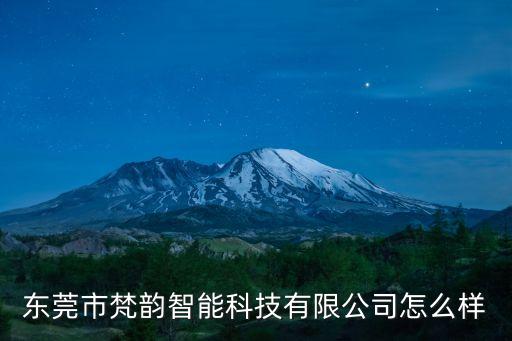 東莞市梵韻智能科技有限公司怎么樣