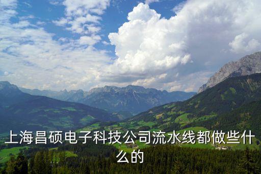 上海昌碩電子科技公司流水線都做些什么的
